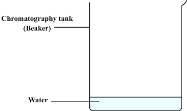 chromatography tank