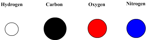 atom model