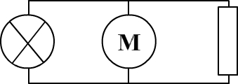 bulb, motor and bulb connected in parallel