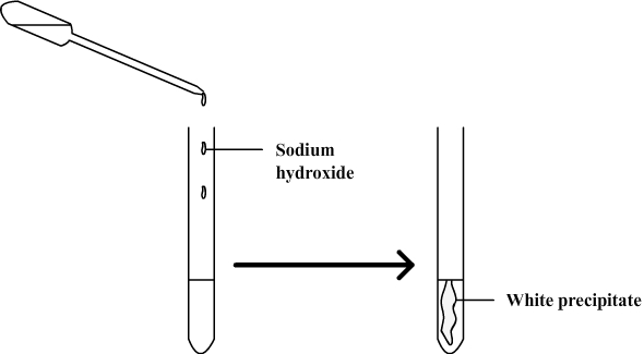 Test for zinc ion