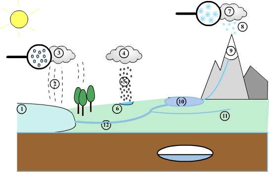 The water cycle in nature