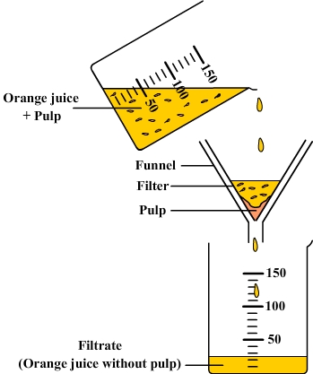 Filtration of an orange juice and its pulp