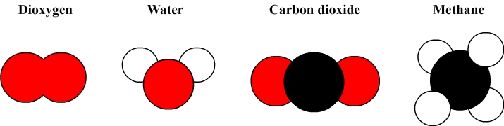 molecular model of water, dioxygen, methane and carbon dioxide