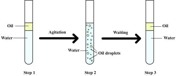 Heterogeneous mixture of oil and water